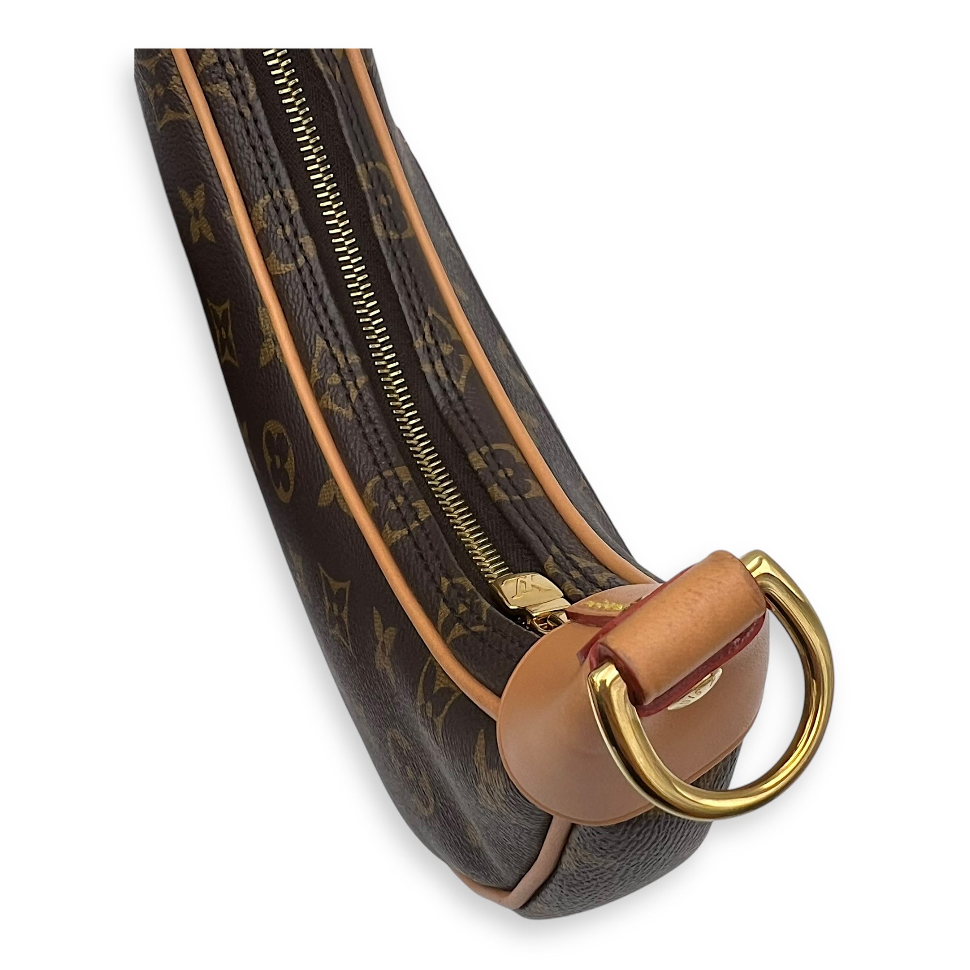 Loop Shoulder Bag Brown in Monogram Coated Canvas, Gold hardware - Image 13