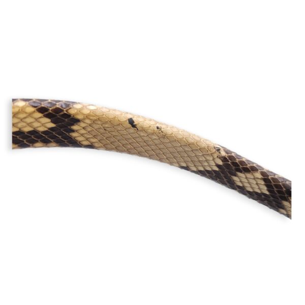 Capucines Black Crossbody in Python Leather, Silver hardware - Image 14