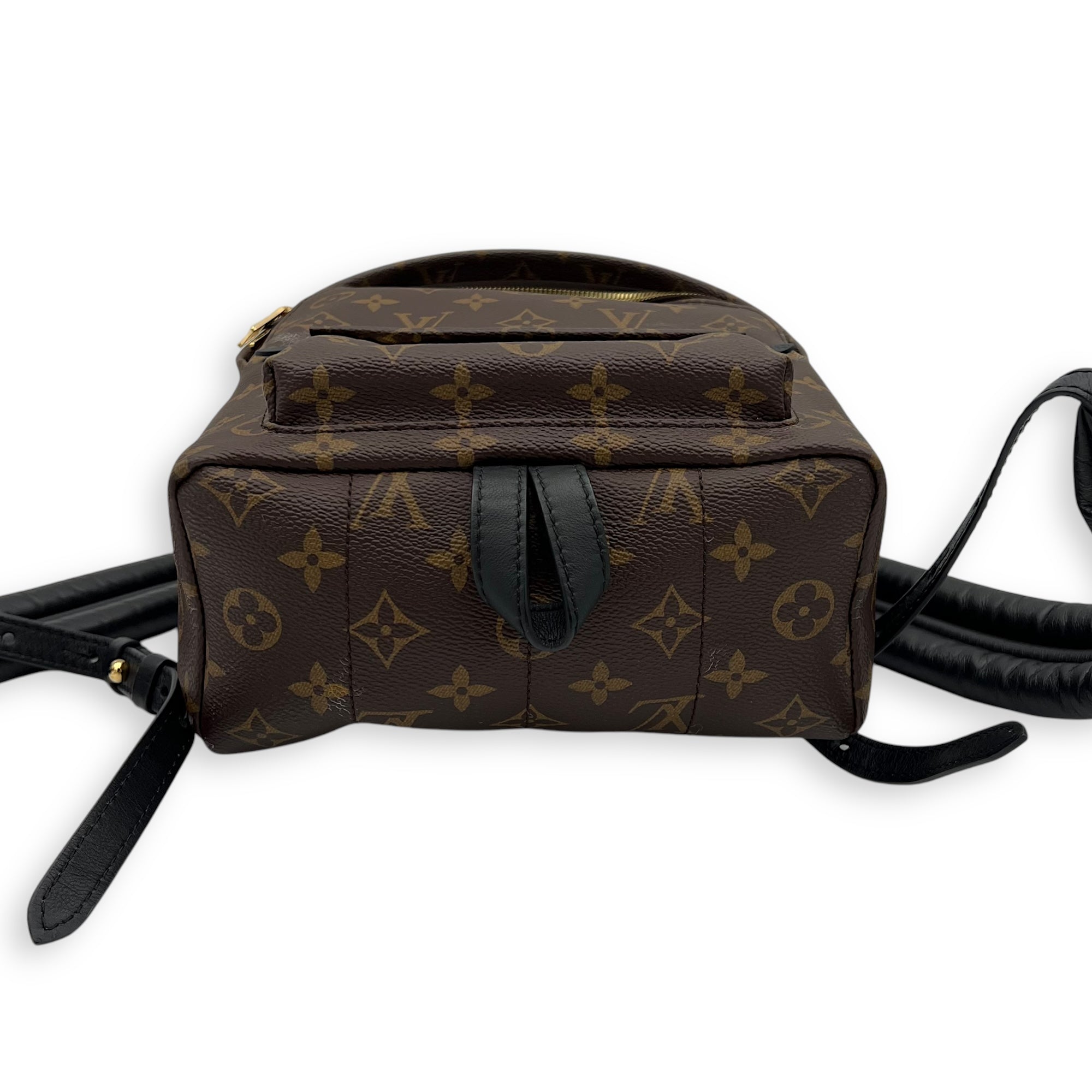 Palm Springs PM Brown Backpack in Monogram Coated Canvas, Gold hardware - Image 6