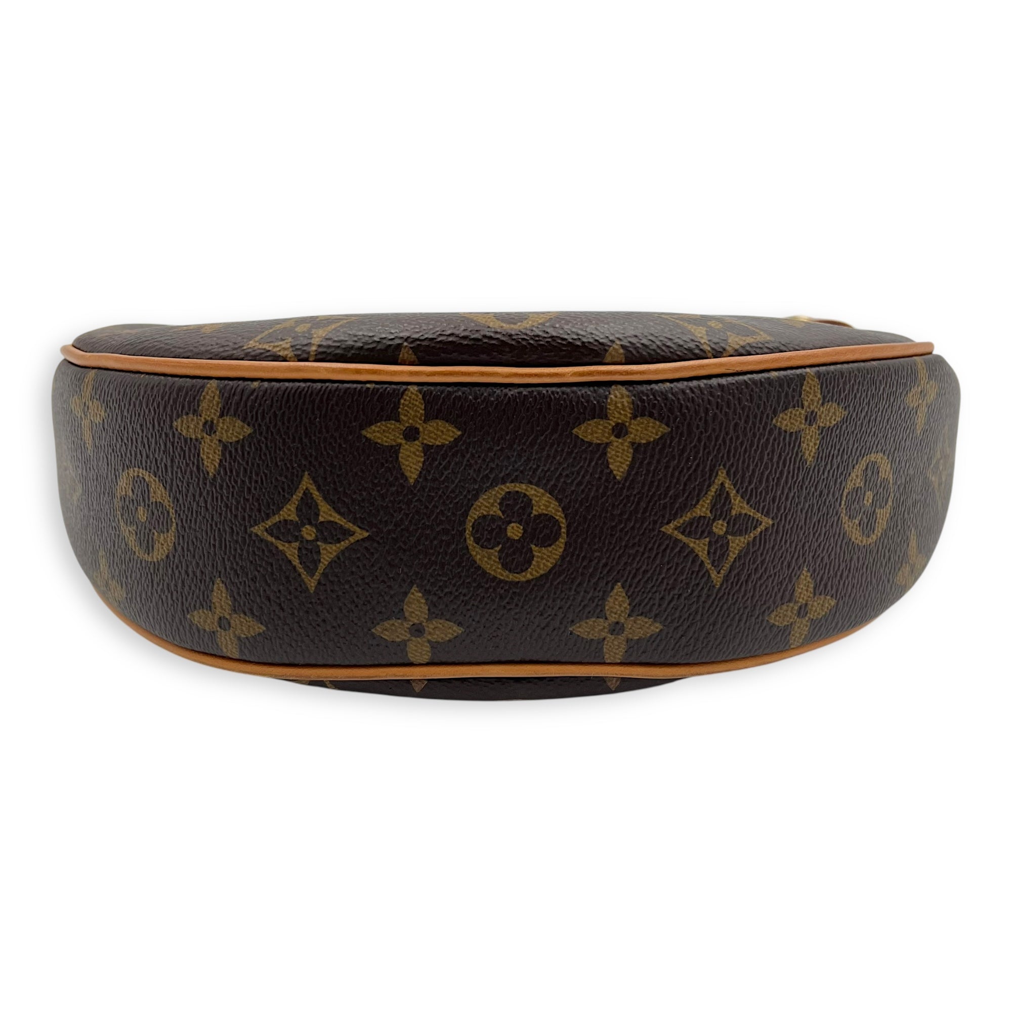 Loop Brown Shoulder Bag in Monogram Coated Canvas, Gold hardware - Image 6